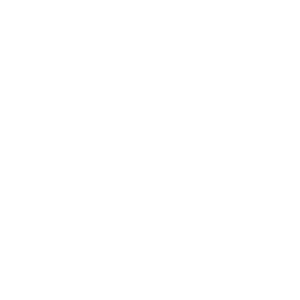 Polaris RZR