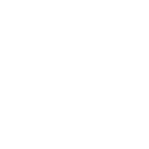 Honda Talon
